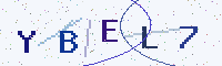 Security code picture