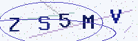 Security code picture