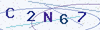 Security code picture