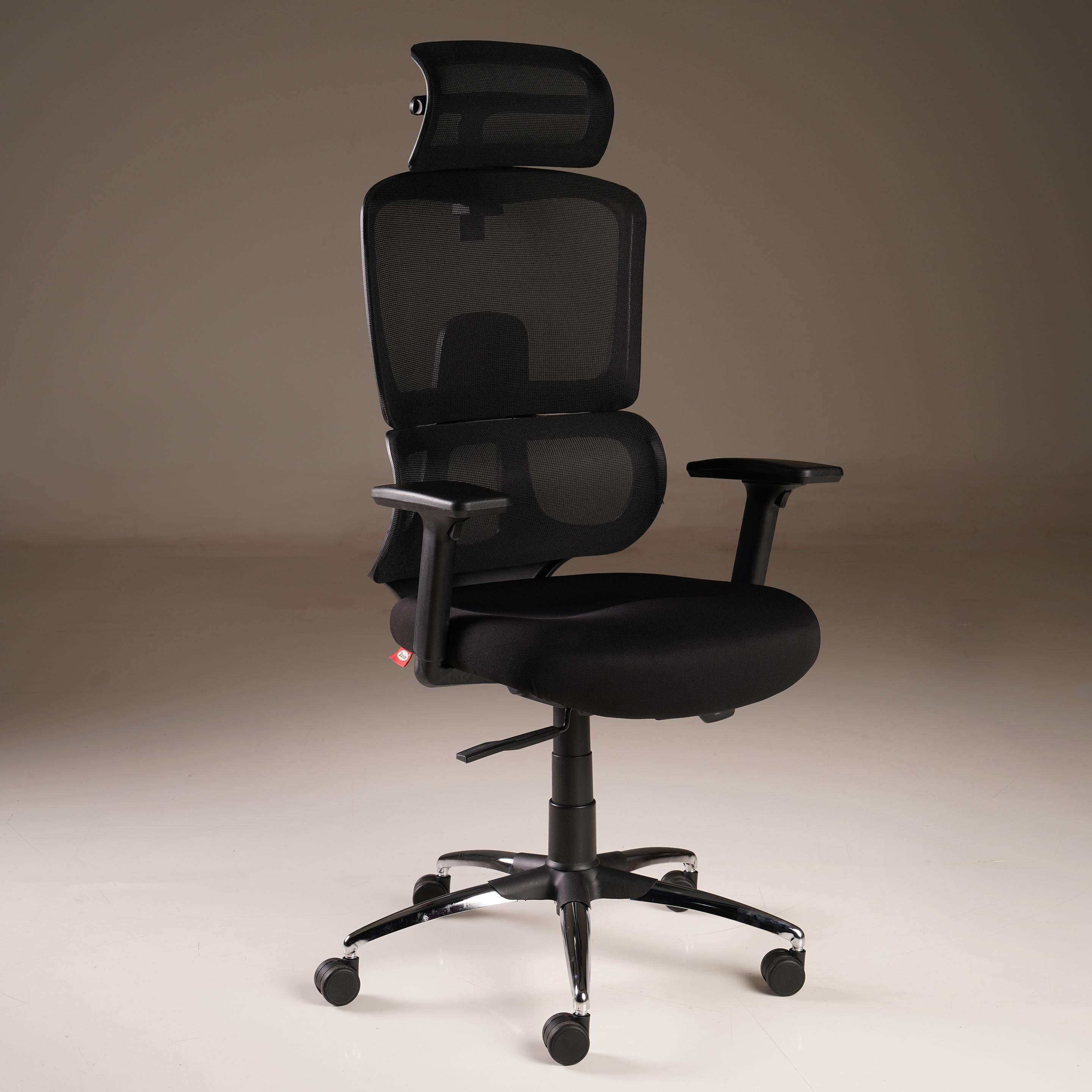Durian Durian Ergonomic High-Back Office Chair