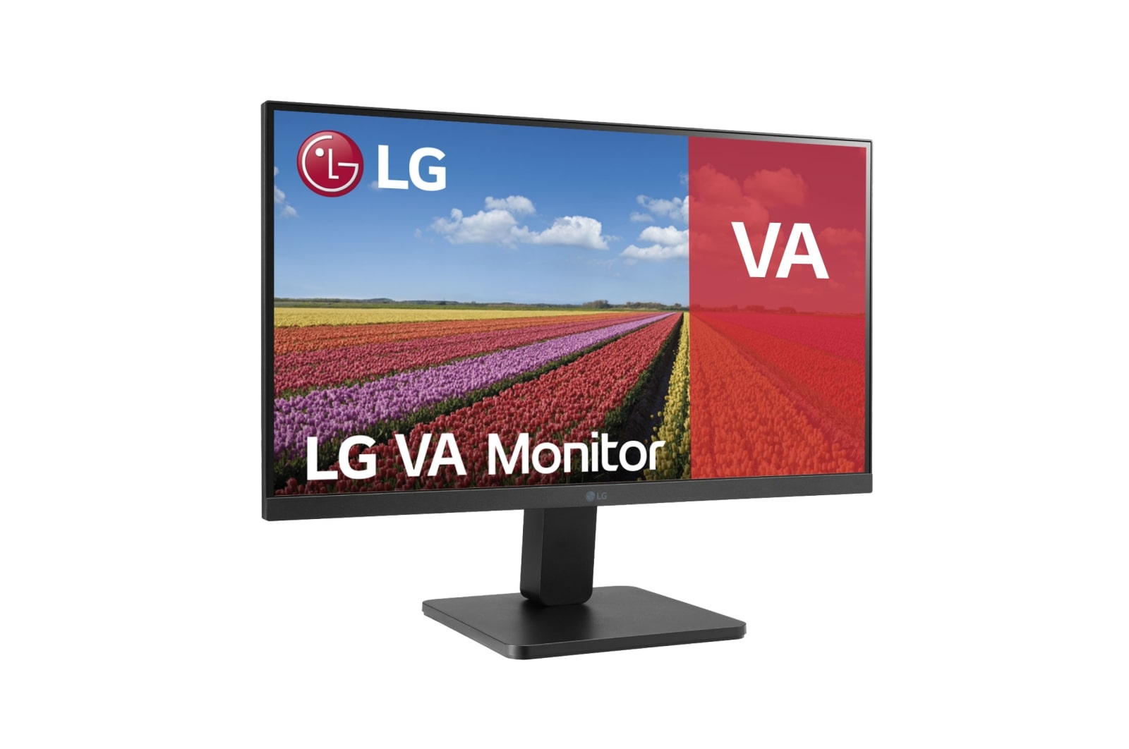 LG LG 22-inch Full HD Monitor